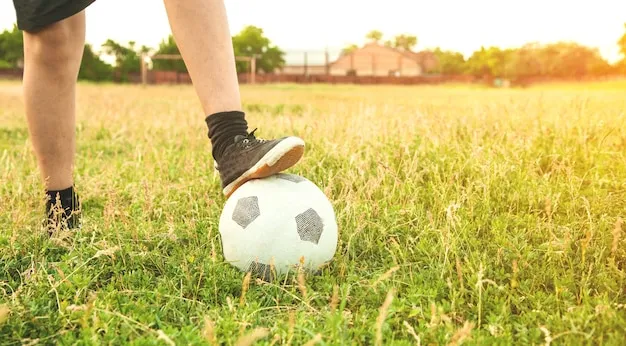 熊猫体育应用界面预览